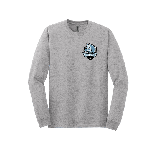 College View Long Sleeve Tees