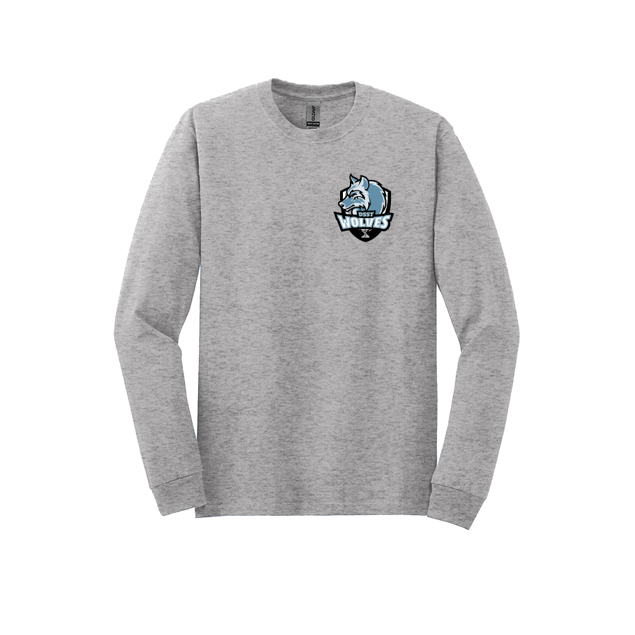 College View Long Sleeve Tees