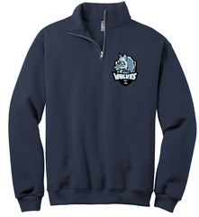 College View Navy 1/4 Zip Sweatshirt